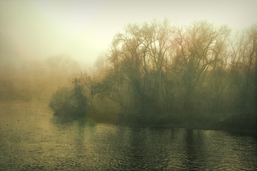 Sunrise Mist