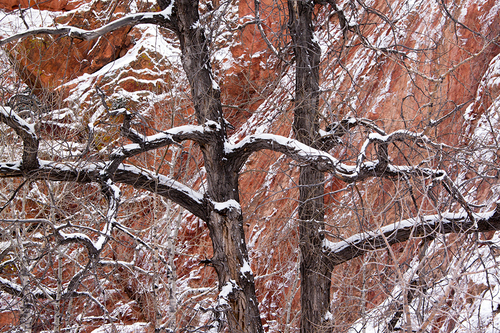 Red Rocks Winter