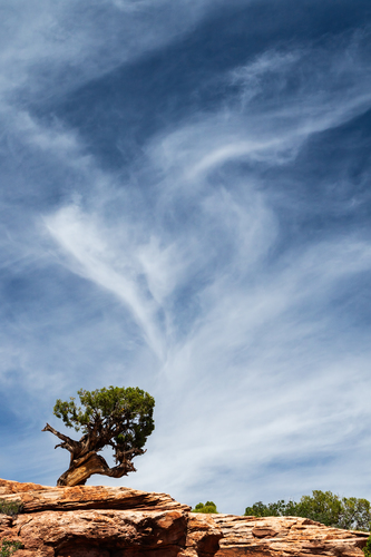 Dance With the Sky
