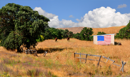 American Heartland