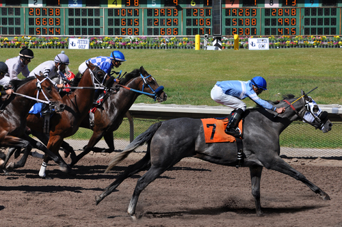 At the Races 3