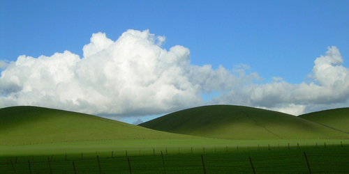 Rolling Hills