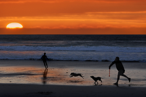Sunset at Monterey