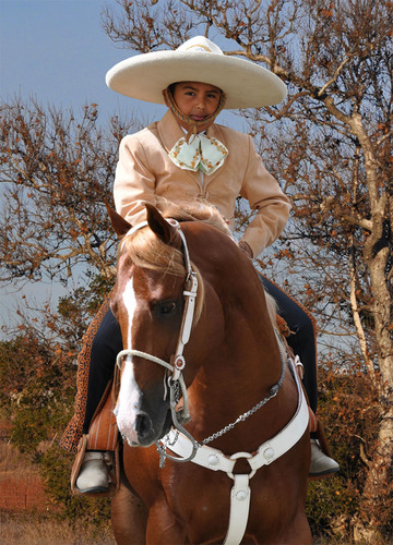 Vaquero