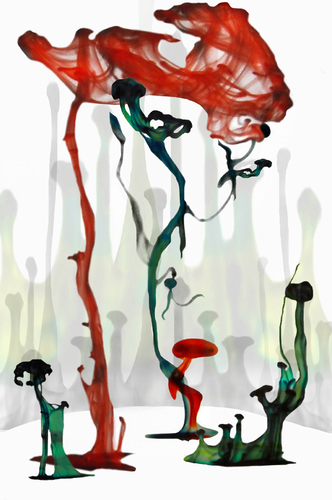 The Encounter