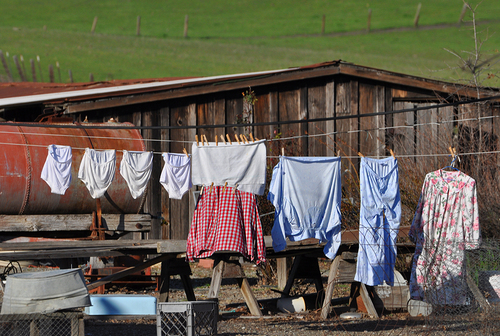 Laundry Day