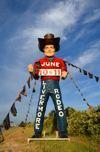 Rodeo Man