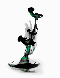 Color Awards Winners and Nominees