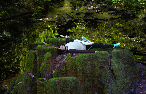 Harmonic Repose - Promotional Still - Purple Plaid Music