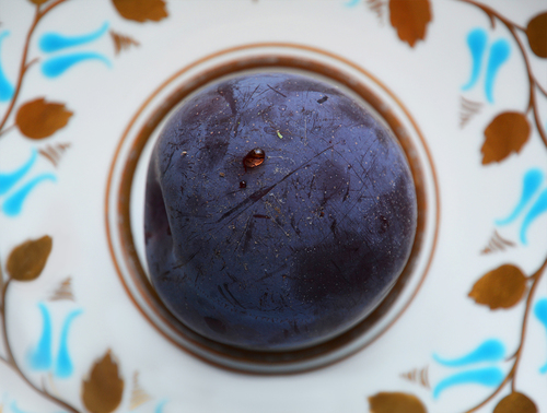 Black Plum