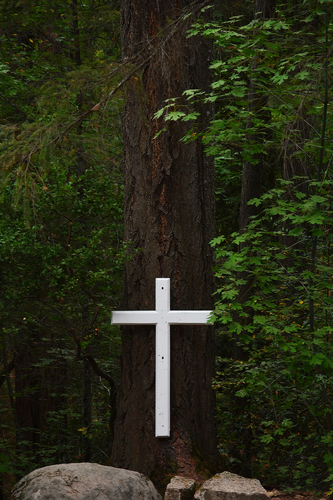 Chapel in the Deep Woods