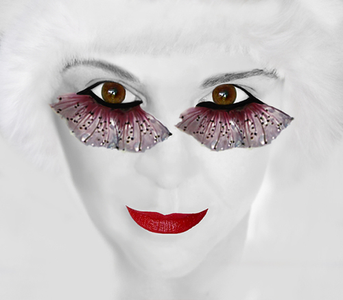 Eyellusions 1