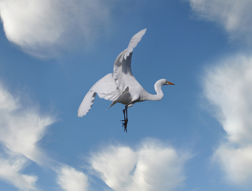 Lift Off