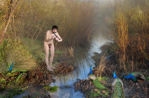 Peacock Piper