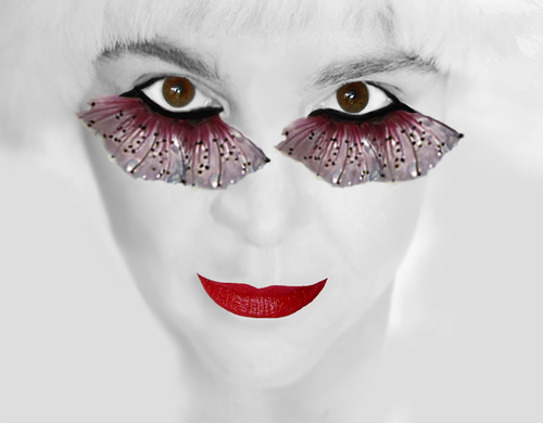 Kabuki Butterfly