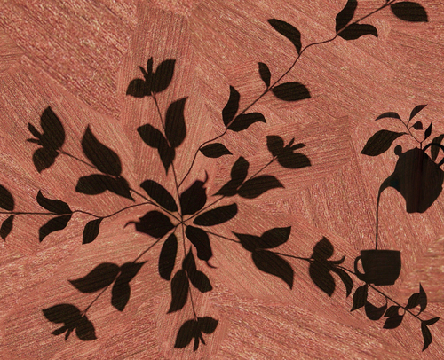 Tea Time - Saplings on Redwood