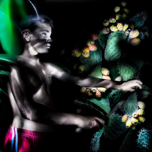 Cactus picker