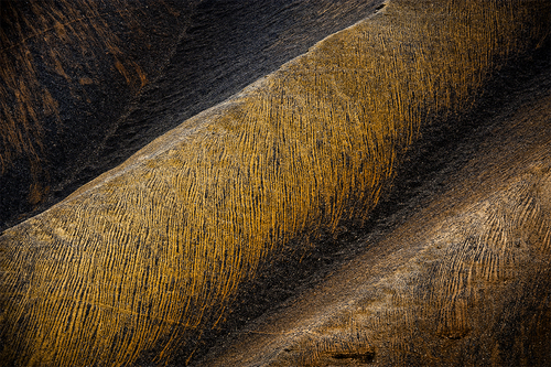 Soul Steps I.1