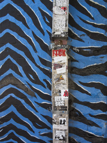Blue Zebra