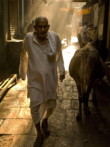 Brahmin