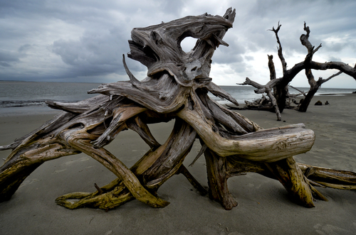 Sulptures on the sand