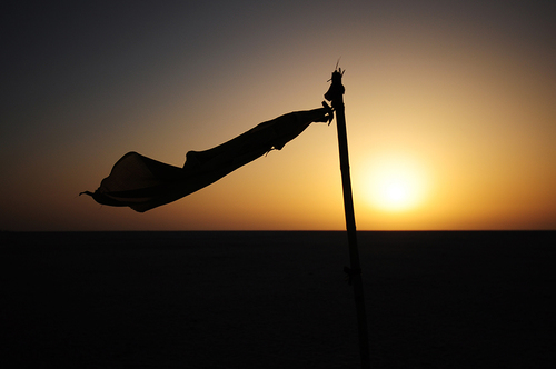 Desert Sun