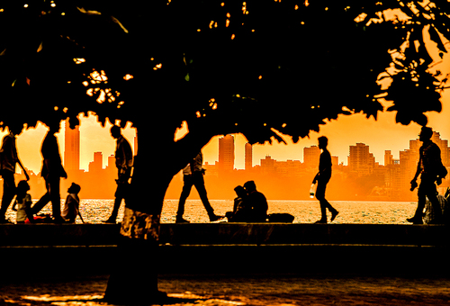 City Dreams