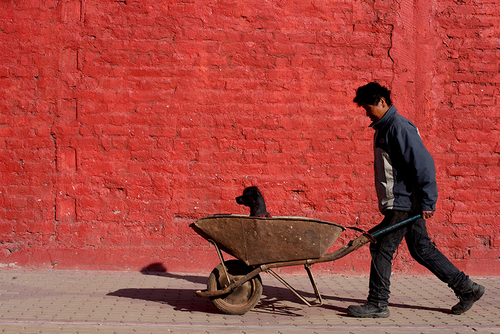 Man with his Dog