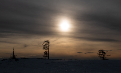 Winter Sun 1