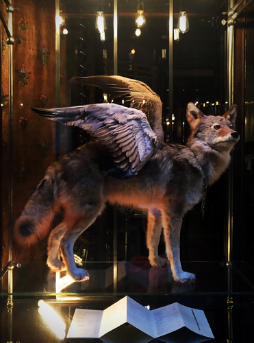 The Flying Fox