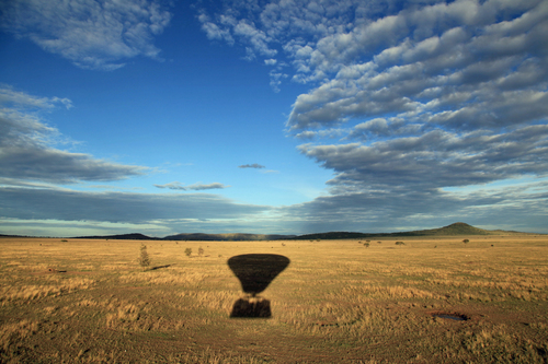 Serengeti Drift