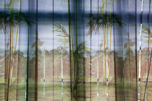 Bamboo