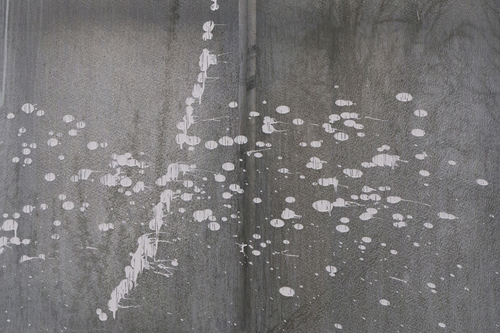 Untitled 12