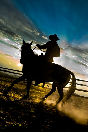 The Cowboys Dance