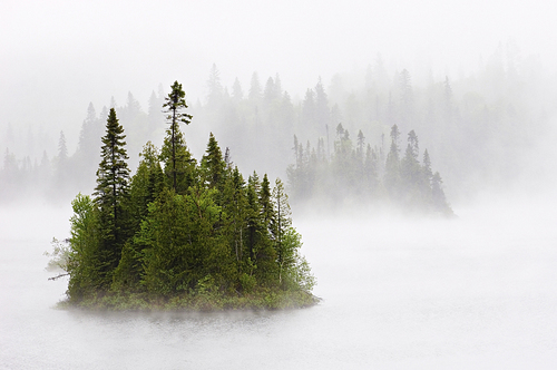 Island in the Mist