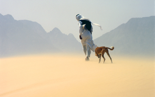 Sandstorm In The Duna