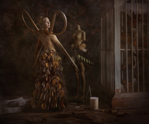 The Seamstress