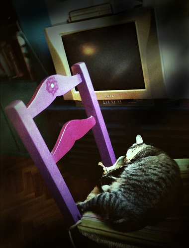 Misha