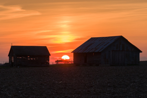 Rural Sunset