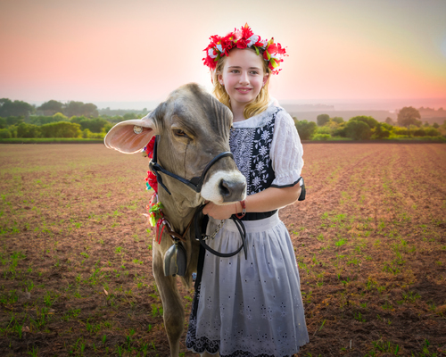 Swiss Miss