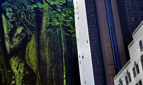 The Virtual Jungle