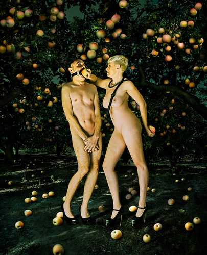 Garden of Heavenly Delights