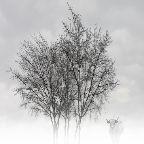 Pale dawn