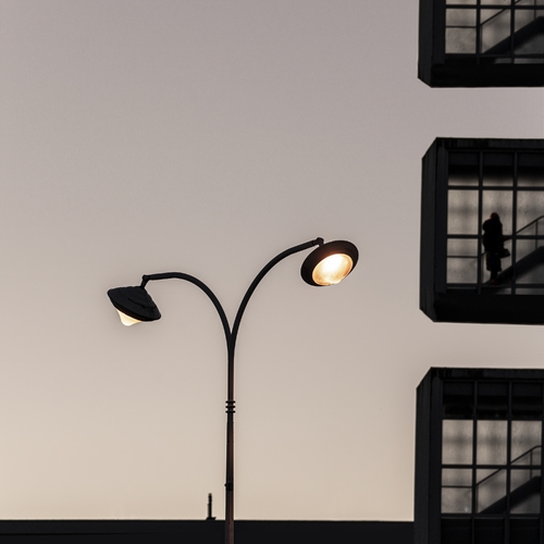Alone in the light 6