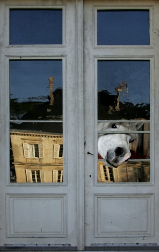 Le matre des lieux