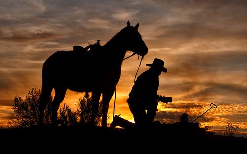 The Cowboy Way