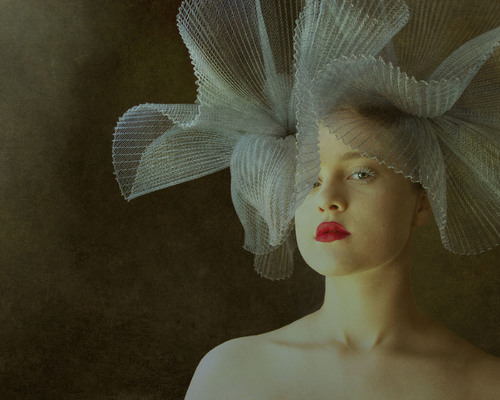 Grey Headpiece