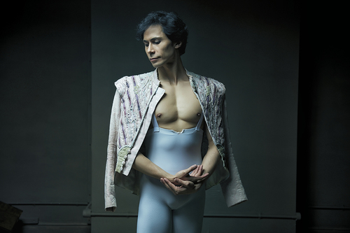 The Nutcracker Prince