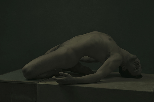 Cognitive Bodies (2)