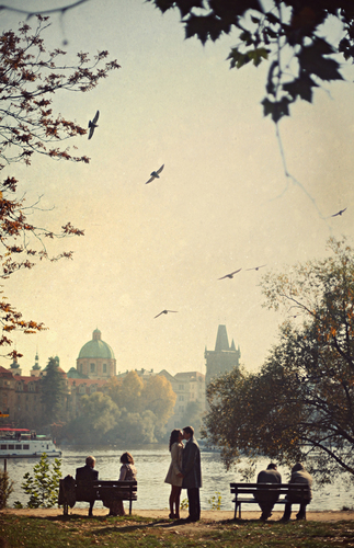 the kiss